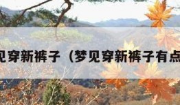 梦见穿新裤子（梦见穿新裤子有点大）