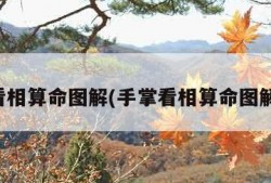 手掌看相算命图解(手掌看相算命图解微信)
