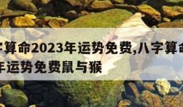 八字算命2023年运势免费,八字算命2023年运势免费鼠与猴