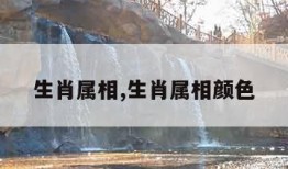 生肖属相,生肖属相颜色