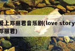 爱上邓丽君音乐剧(love story 邓丽君)
