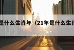 21年是什么生肖年（21年是什么生肖年份）