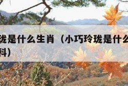 小巧玲珑是什么生肖（小巧玲珑是什么生肖动物七百科）
