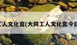 大同工人文化宫(大同工人文化宫今日影讯)