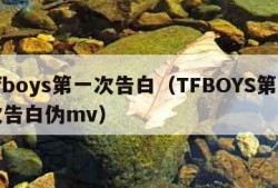tfboys第一次告白（TFBOYS第一次告白伪mv）