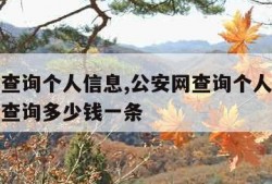 公安网查询个人信息,公安网查询个人信息犯罪记录查询多少钱一条