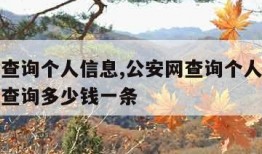 公安网查询个人信息,公安网查询个人信息犯罪记录查询多少钱一条