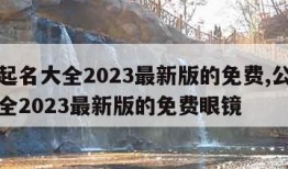 公司起名大全2023最新版的免费,公司起名大全2023最新版的免费眼镜