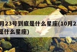 10月23号到底是什么星座(10月23号的是什么星座)