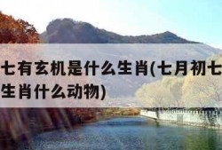七月初七有玄机是什么生肖(七月初七有玄机是什么生肖什么动物)
