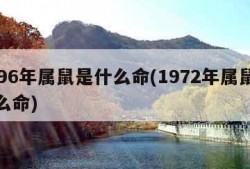 1996年属鼠是什么命(1972年属鼠是什么命)