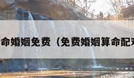 免费算命婚姻免费（免费婚姻算命配对免费）