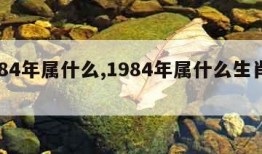 1984年属什么,1984年属什么生肖的命