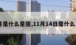 11月是什么星座,11月14日是什么星座