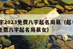 起名字2023免费八字起名周易（起名字2023免费八字起名周易女）