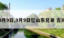 9月9日,9月9日忆山东兄弟 古诗