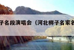 河北梆子名段演唱会（河北梆子名家名段演唱会1）