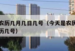 今天是农历几月几日几号（今天是农历几月几日是阳历几号）