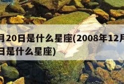 2月20日是什么星座(2008年12月20日是什么星座)