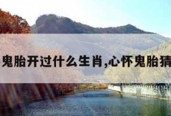 心怀鬼胎开过什么生肖,心怀鬼胎猜一肖