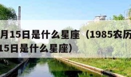 12月15日是什么星座（1985农历12月15日是什么星座）