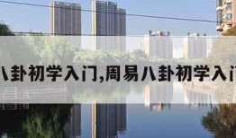 周易八卦初学入门,周易八卦初学入门教程