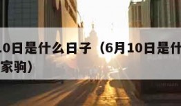 6月10日是什么日子（6月10日是什么日子黄家驹）