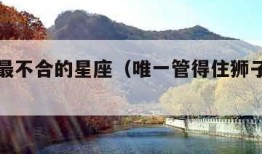 狮子座最不合的星座（唯一管得住狮子座的星座）