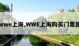 wwe上海,WWE上海购买门票图