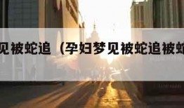 孕妇梦见被蛇追（孕妇梦见被蛇追被蛇咬什么意思）