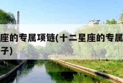 十二星座的专属项链(十二星座的专属项链长什么样子)