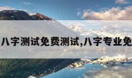 最准的八字测试免费测试,八字专业免费测试