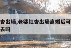 老婆红杏出墙,老婆红杏出墙离婚后可以把这个说出去吗