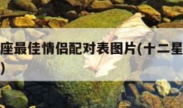 十二星座最佳情侣配对表图片(十二星座最配的情侣)