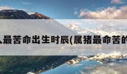 属猪人最苦命出生时辰(属猪最命苦的时辰)