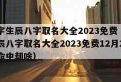 起名字生辰八字取名大全2023免费（起名字生辰八字取名大全2023免费12月29日是命中却啥）