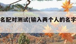夫妻姓名配对测试(输入两个人的名字测姻缘)