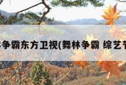 舞林争霸东方卫视(舞林争霸 综艺节目)