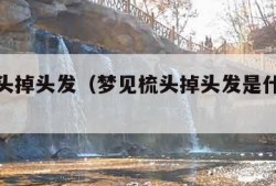 梦见梳头掉头发（梦见梳头掉头发是什么征兆 女人）