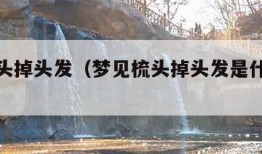 梦见梳头掉头发（梦见梳头掉头发是什么征兆 女人）