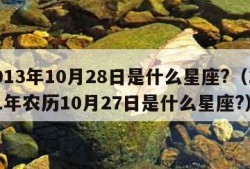 2013年10月28日是什么星座?（1991年农历10月27日是什么星座?）