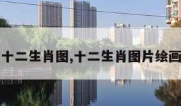 十二生肖图,十二生肖图片绘画