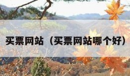 买票网站（买票网站哪个好）