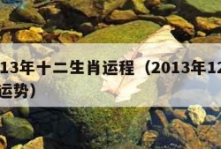 2013年十二生肖运程（2013年12生肖运势）