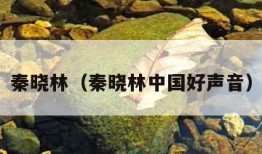 秦晓林（秦晓林中国好声音）