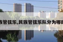 民族管弦乐,民族管弦乐队分为哪四组