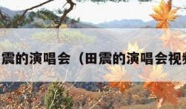 田震的演唱会（田震的演唱会视频）