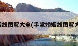 婚姻线图解大全(手掌婚姻线图解大全)