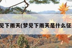 梦见下雨天(梦见下雨天是什么征兆)