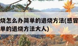 感冒发烧怎么办简单的退烧方法(感冒发烧怎么办简单的退烧方法大人)